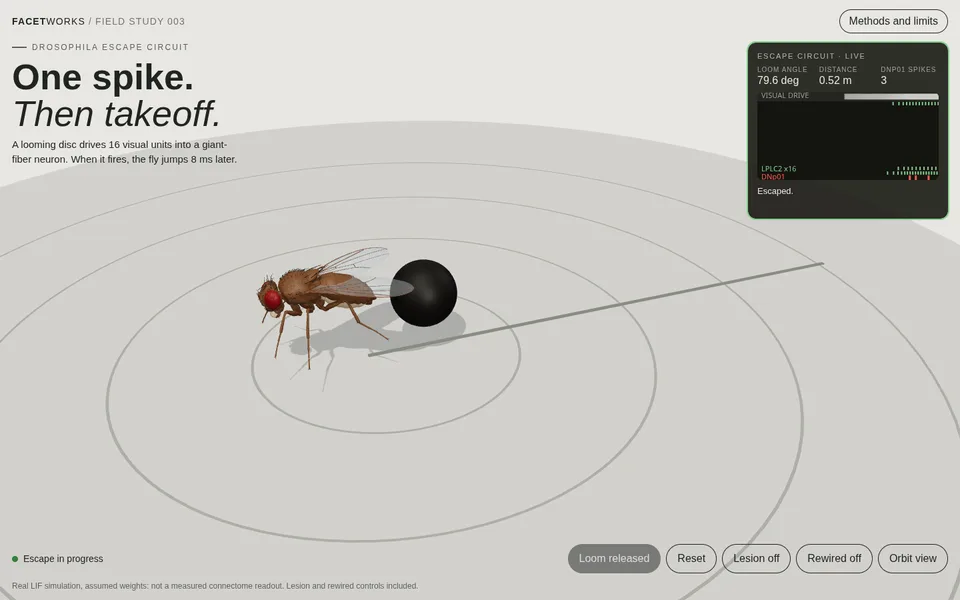 Fly Circuit Lab website preview