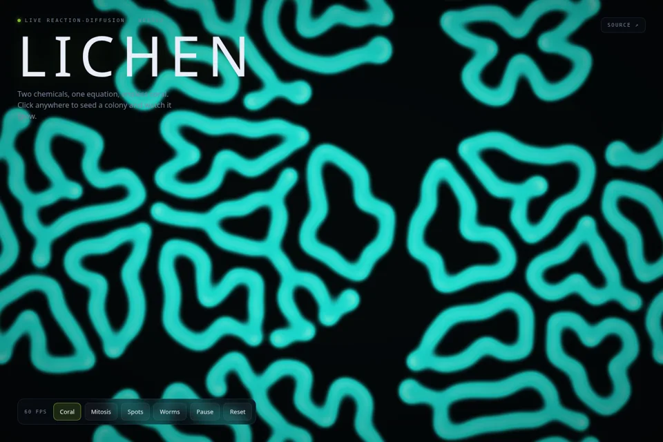 Lichen website preview