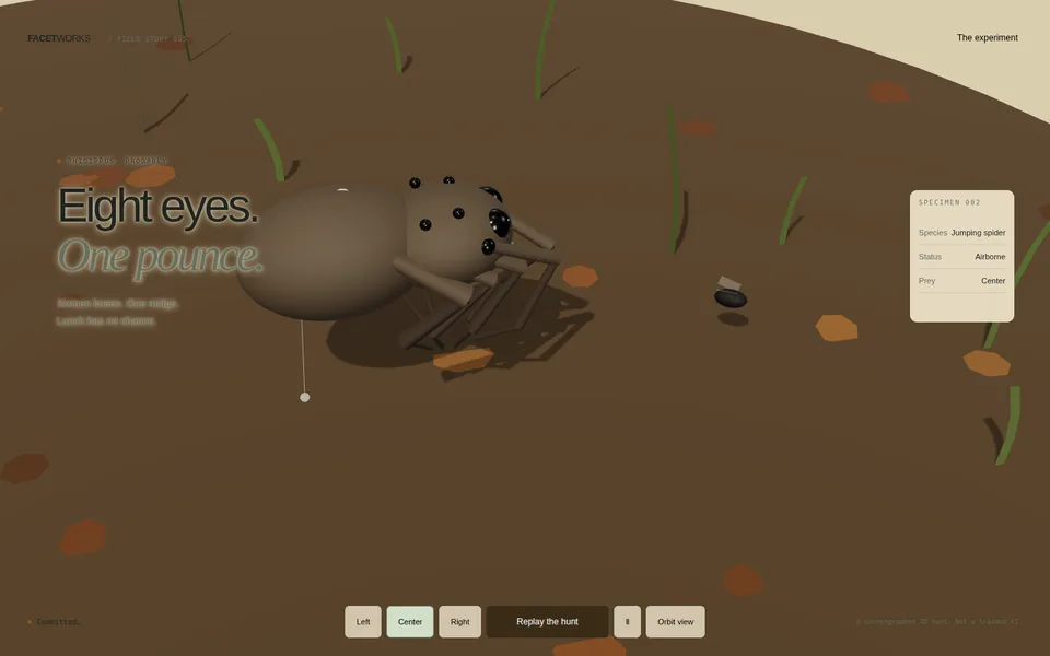 Eight Eyes. One Pounce. website preview